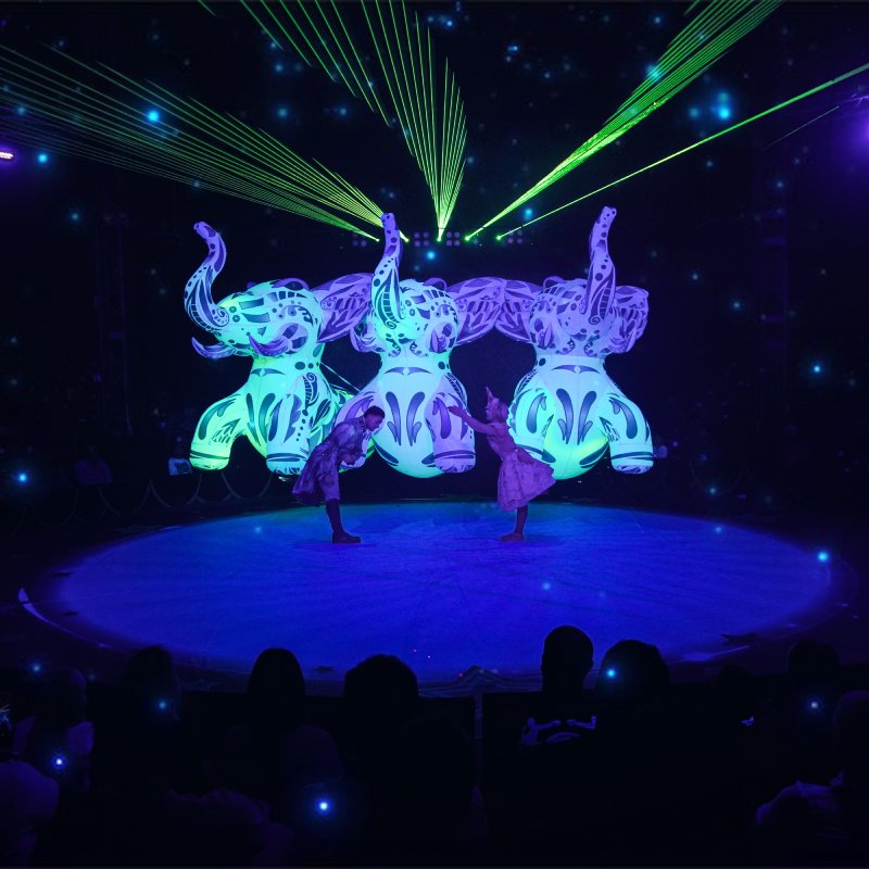 Circo Alegría trapecista